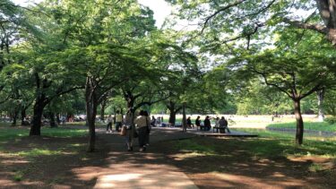 食旅【明治神宮前】　～伊良コーラと焼きチーズのラザニア風カルボナーラ