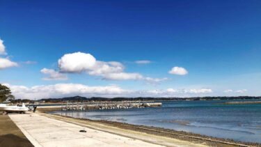 東北へ初上陸！仙台・松島で美味しいものを食べる旅